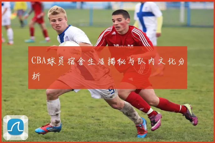 CBA球员宿舍生活揭秘与队内文化分析