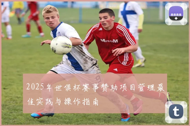 2025年世俱杯赛事赞助项目管理最佳实践与操作指南