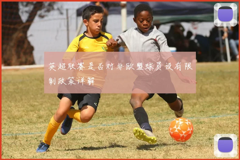 英超联赛是否对非欧盟球员设有限制政策详解