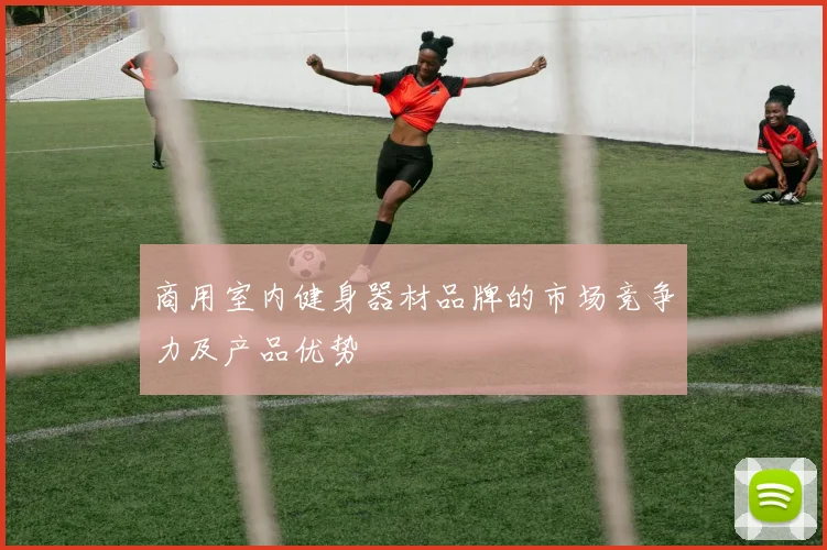 商用室内健身器材品牌的市场竞争力及产品优势
