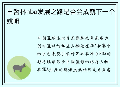 王哲林nba发展之路是否会成就下一个姚明